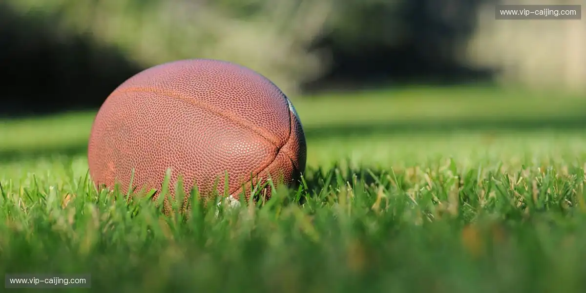 赛事画面保持专业高清纹理